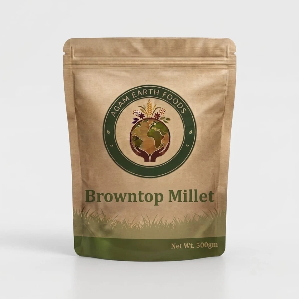 Browntop Millet (Hari Kangni)