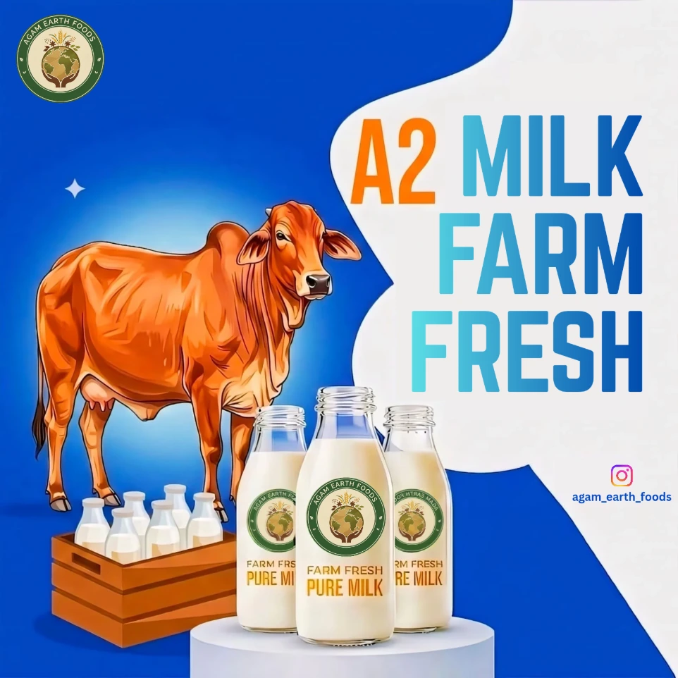 Shahiwal A2 Milk